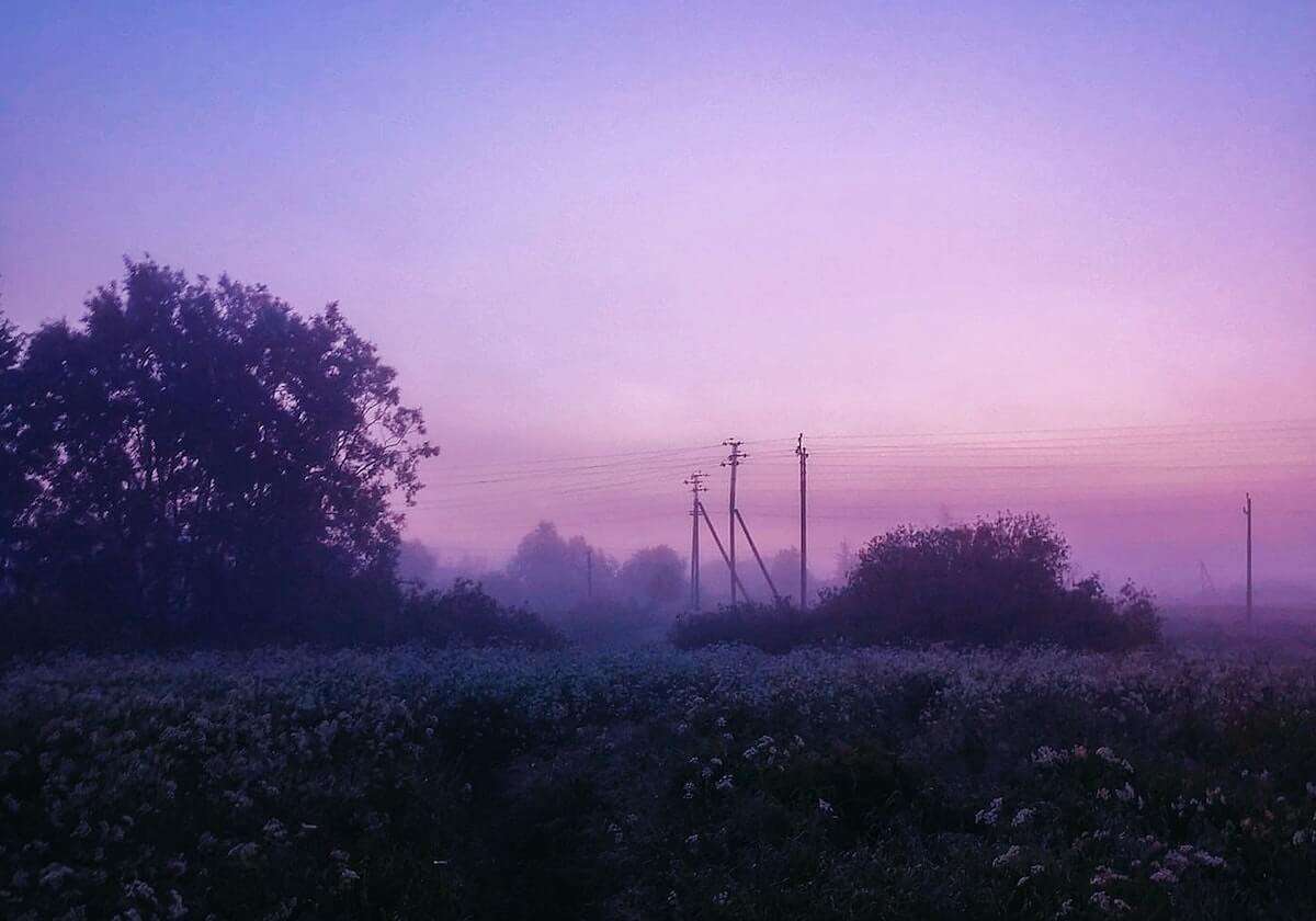 娱乐平台-现场画面!特朗普宣称:我们赢了,在第一个小时一切就结束了,但需要“完成最后的工作”